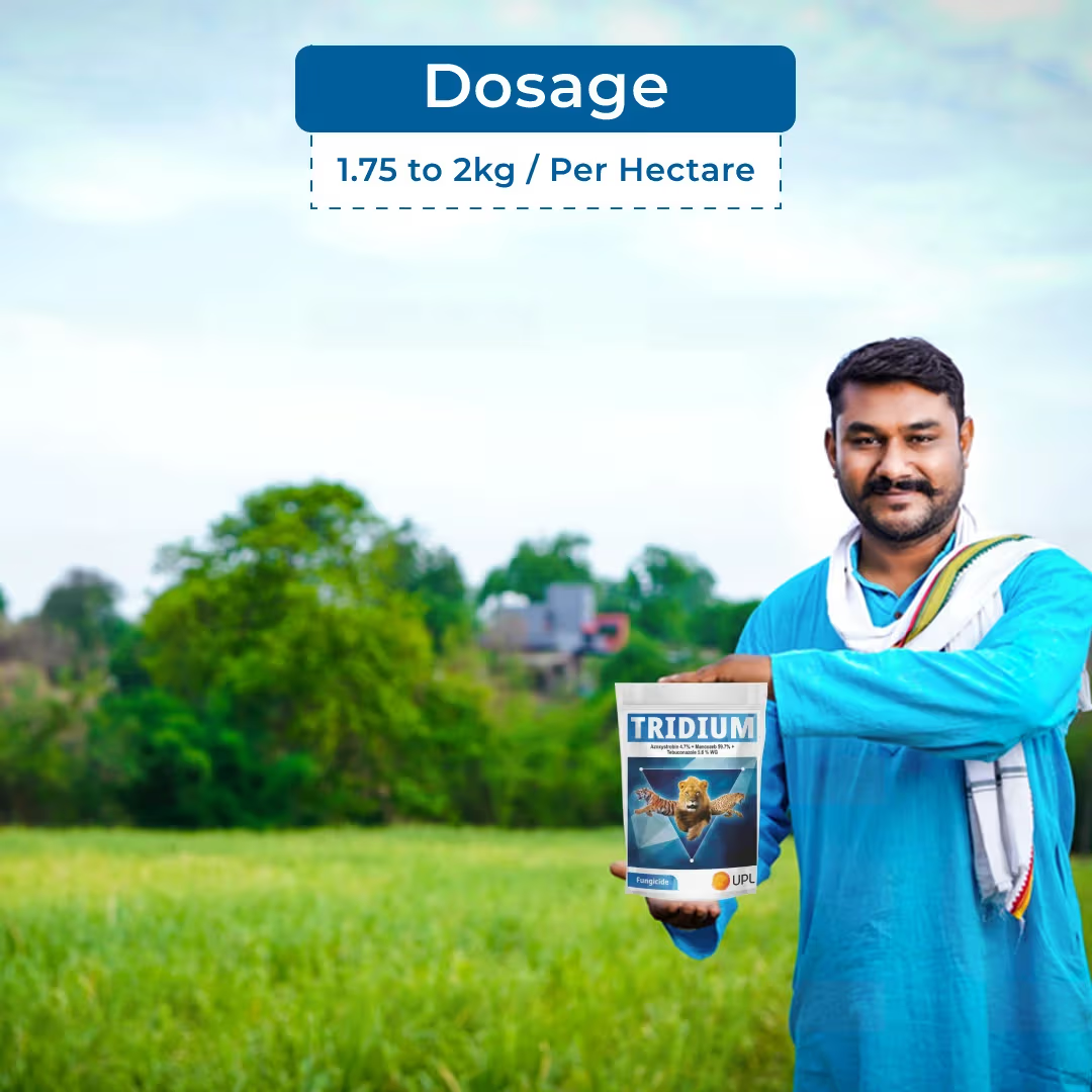 How to Increase Crop Yield with the Right Crop Nutrition