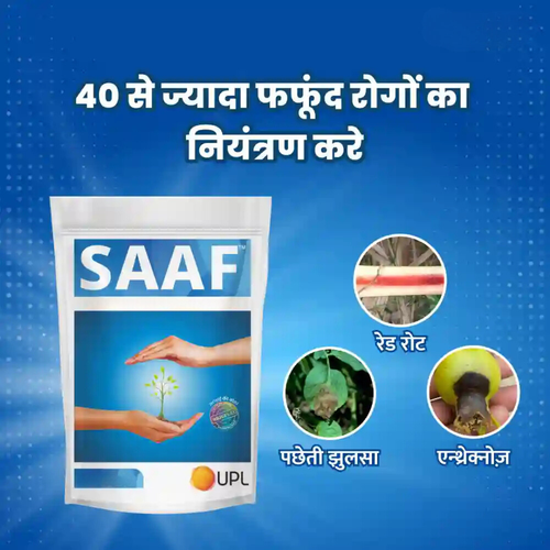 UPL Saaf Fungicide Carbendazim 12% + Mancozeb 63% WP | Broad Spectrum Systemic & Contact Fungicide for Effective Disease Control in Crops
