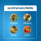 UPL Saaf Fungicide Carbendazim 12% + Mancozeb 63% WP | Broad Spectrum Systemic & Contact Fungicide for Effective Disease Control in Crops