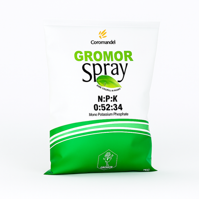 1 Kg