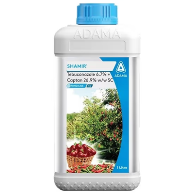 250ml