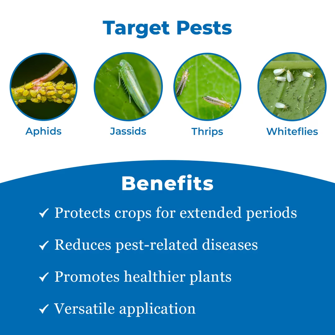 UPL Lancer Gold Acephate 50% + Imidacloprid 1.8% SP Insecticide | Systemic & Contact Insecticide for Effective Control of Sucking and Chewing Pests