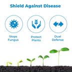 Adama Shamir Fungicide Tebuconazole 6.7% + Captan 26.9% SC | Systemic & Contact Fungicide for Effective Control of Fungal Diseases in Crops
