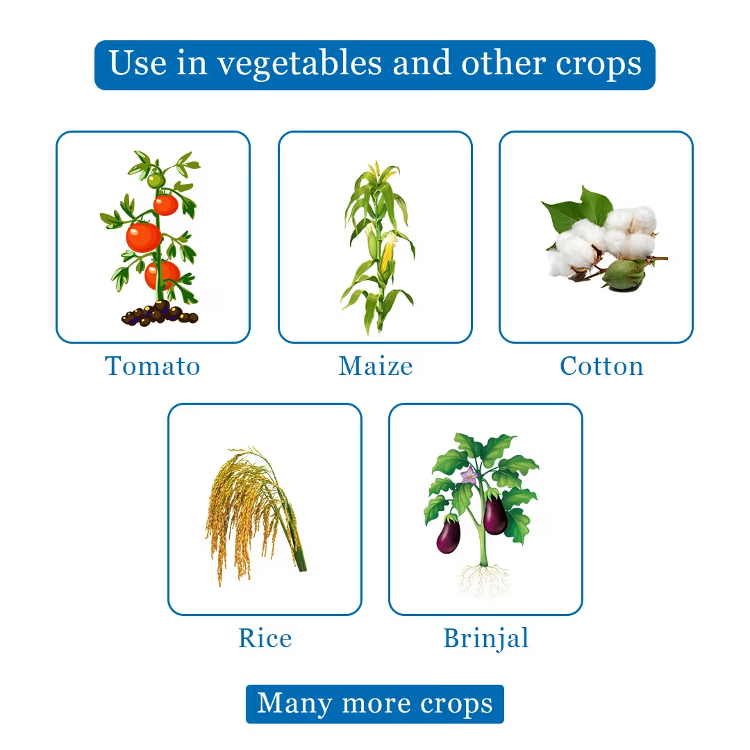 UPL Lancer Gold Acephate 50% + Imidacloprid 1.8% SP Insecticide | Systemic & Contact Insecticide for Effective Control of Sucking and Chewing Pests
