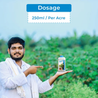 Adama Shamir Fungicide Tebuconazole 6.7% + Captan 26.9% SC | Systemic & Contact Fungicide for Effective Control of Fungal Diseases in Crops