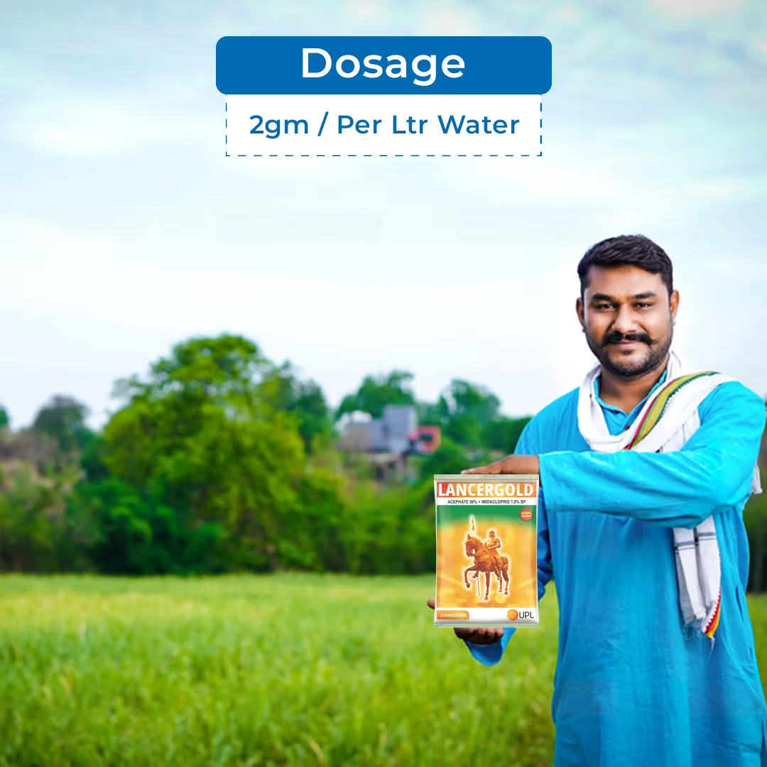 UPL Lancer Gold Acephate 50% + Imidacloprid 1.8% SP Insecticide | Systemic & Contact Insecticide for Effective Control of Sucking and Chewing Pests