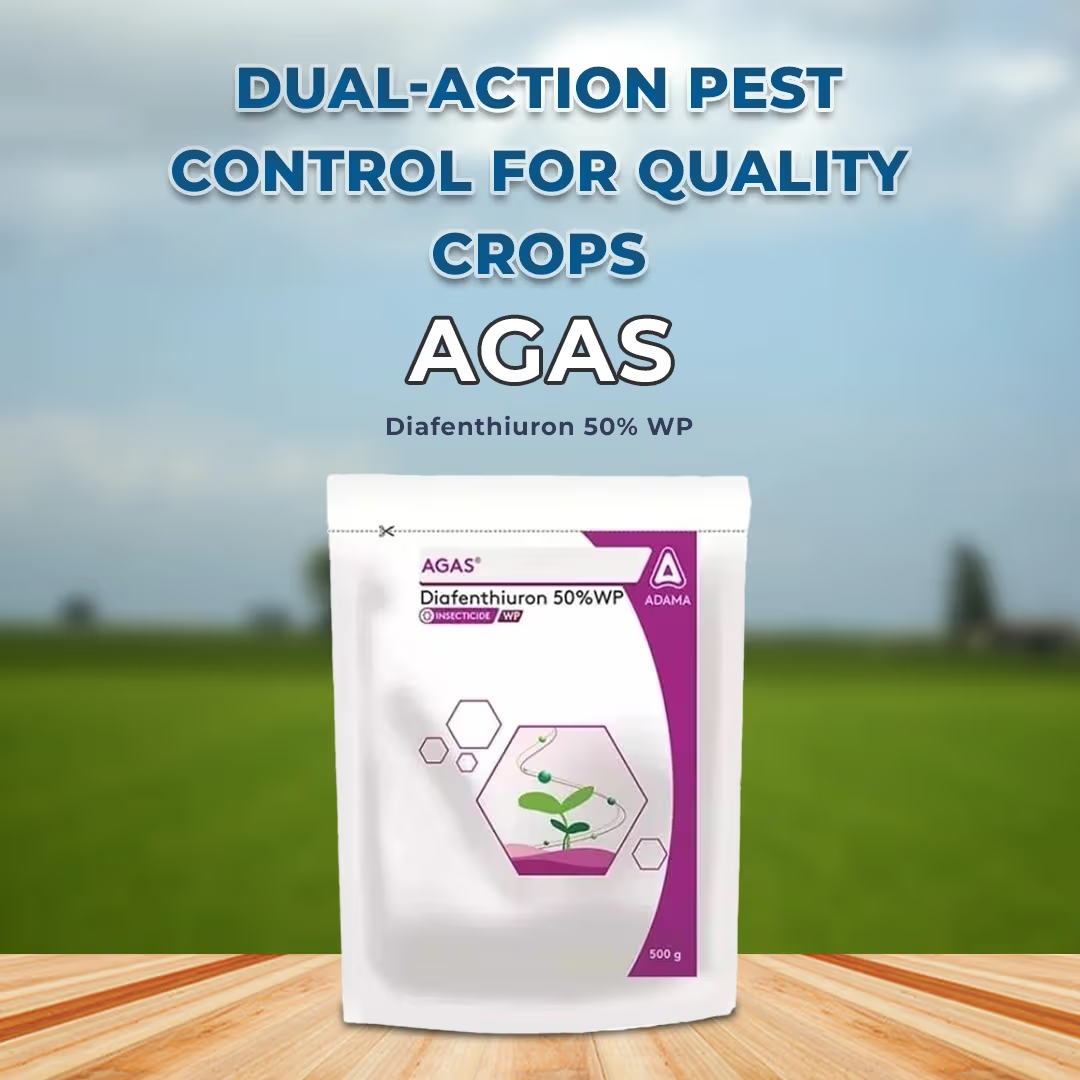 ADAMA Agas Diafenthiuron 50% WP Insecticide | Effective Control of Sucking Pests | Contact, Stomach & Ovicidal Action for Healthy Crop Growth
