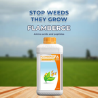 ADAMA Flamberge Amino Acid Based Natural Biostimulant | Improves Nutrient Absorption & Plant Growth | Suitable for All Crops, Gardens & Houseplants