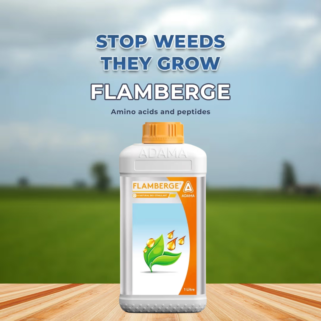 ADAMA Flamberge Amino Acid Based Natural Biostimulant | Improves Nutrient Absorption & Plant Growth | Suitable for All Crops, Gardens & Houseplants