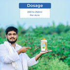 ADAMA Flamberge Amino Acid Based Natural Biostimulant | Improves Nutrient Absorption & Plant Growth | Suitable for All Crops, Gardens & Houseplants