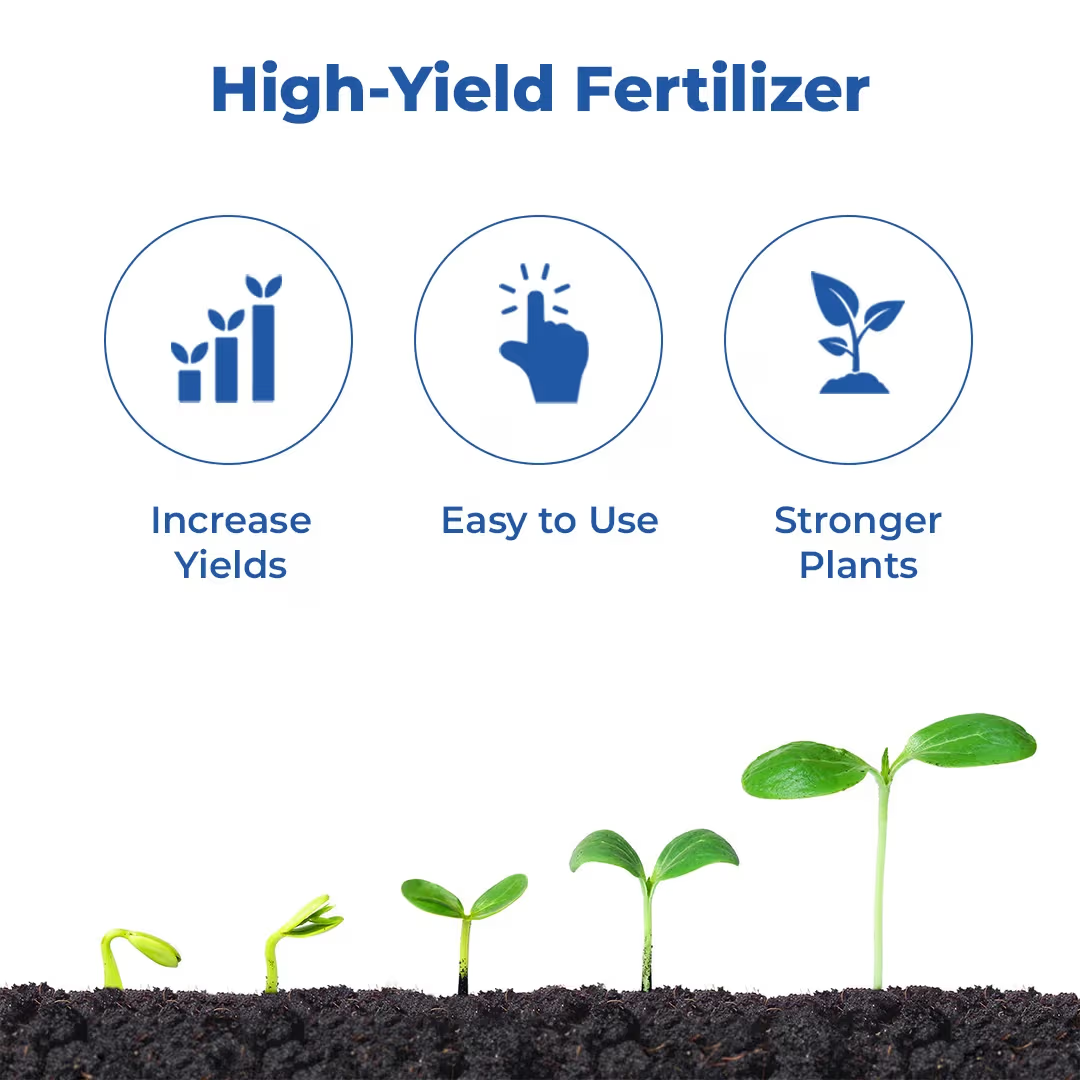 Coromandel Gromor Sulphamax Elemental Sulphur 90% Granular Fertilizer | Improves Soil Fertility & Crop Quality