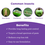 FMC Coragen Chlorantraniliprole 18.5% SC Insecticide | Broad Spectrum Lepidopteran Pest Control | Advanced Larvicide for Long Lasting Crop Protection