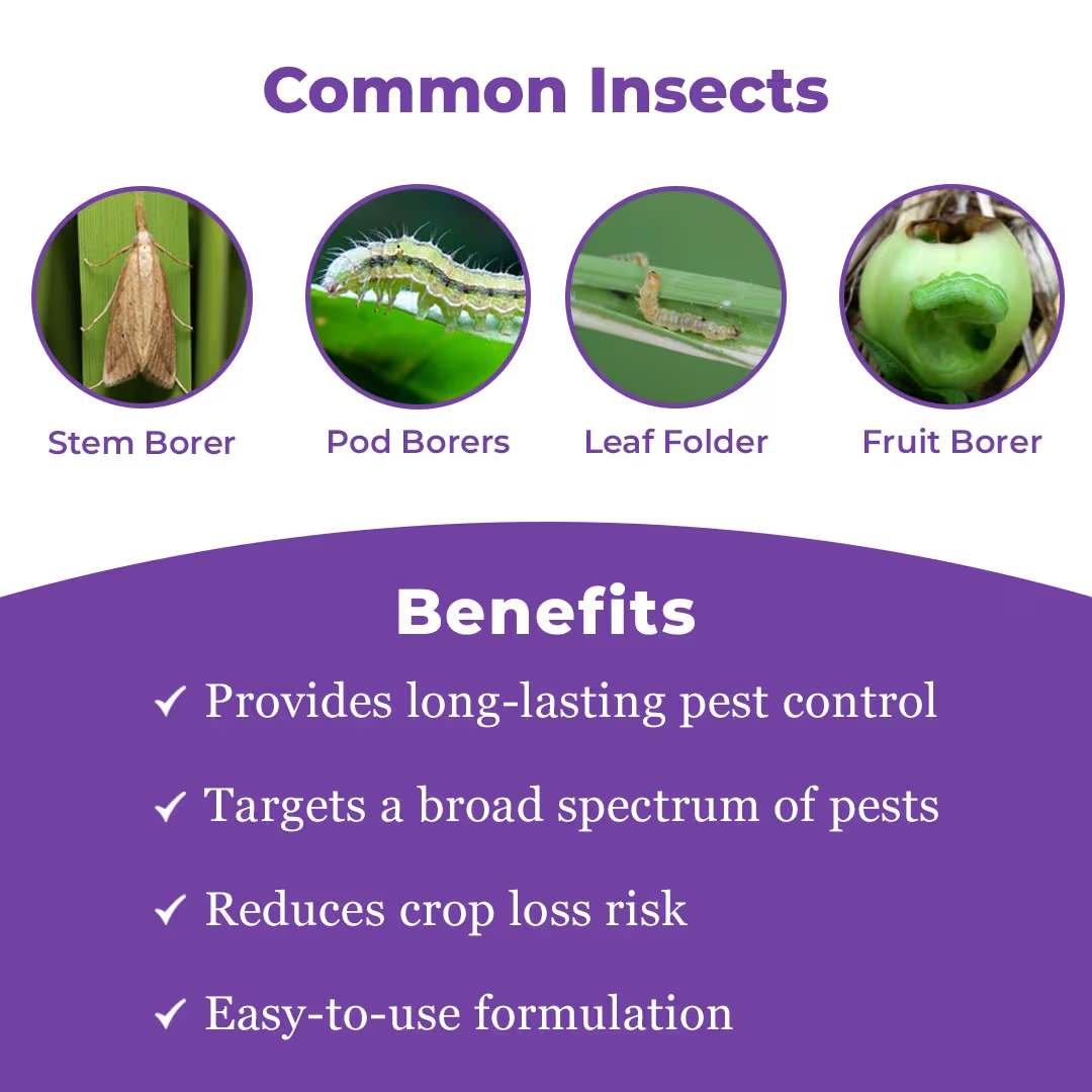 FMC Coragen Chlorantraniliprole 18.5% SC Insecticide | Broad Spectrum Lepidopteran Pest Control | Advanced Larvicide for Long Lasting Crop Protection