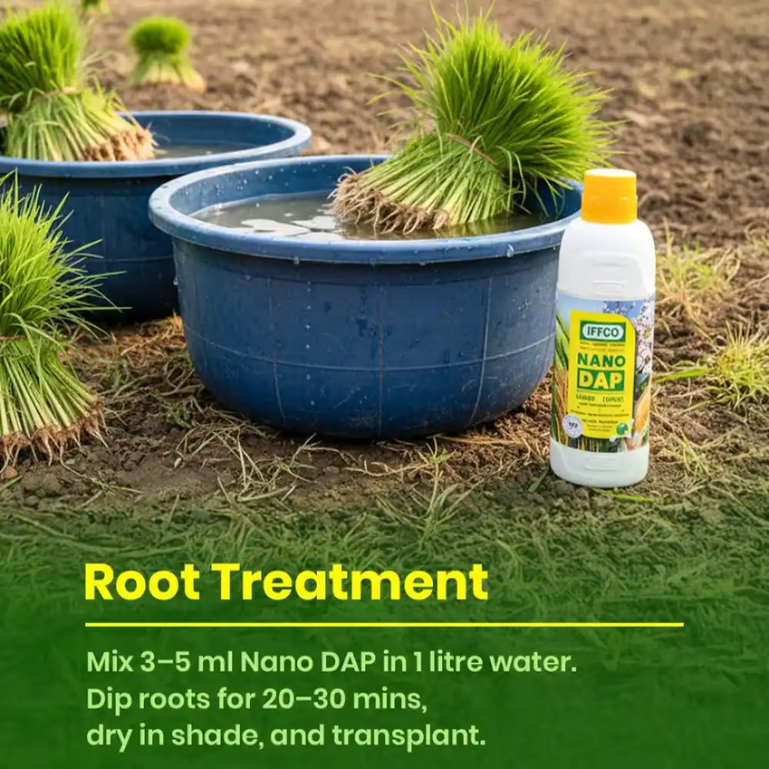 IFFCO Nano DAP Liquid Fertilizer | Advanced Nano Technology for Enhanced Nutrient Use Efficiency & Crop Growth