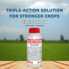 UPL Electron Azoxystrobin 2.5% + Thiophanate Methyl 11.25% + Thiamethoxam 25% FS Seed Treatment | Protection Against Fungal Diseases & Early Stage Insect Pests