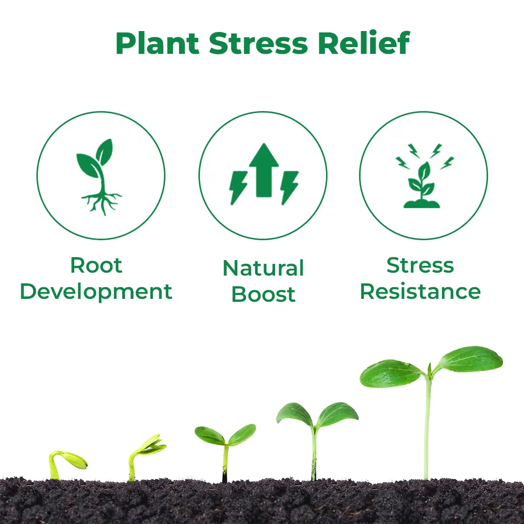 UPL Macarena Seaweed Based Bio Stimulant for Plant Growth | Improves Root Development, Stress Tolerance & Crop Yield | Suitable for All Crops