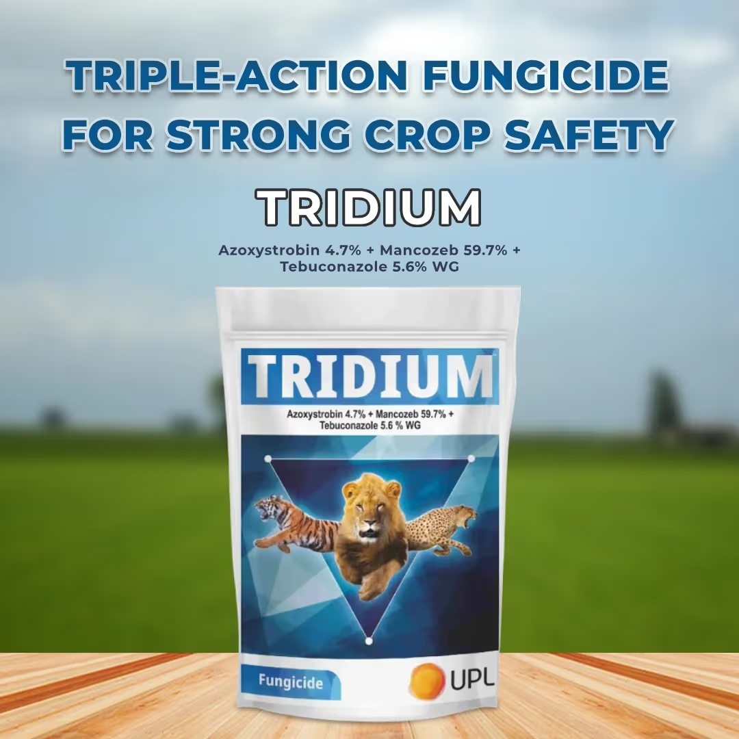 UPL Tridium Azoxystrobin 4.7% + Mancozeb 59.7% + Tebuconazole 5.6% WG Fungicide | Broad Spectrum Systemic & Contact Action for Disease Control in Multiple Crops