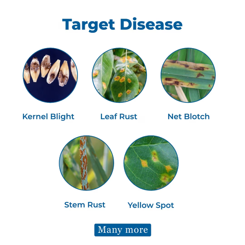 UPL Tridium Azoxystrobin 4.7% + Mancozeb 59.7% + Tebuconazole 5.6% WG Fungicide | Broad Spectrum Systemic & Contact Action for Disease Control in Multiple Crops
